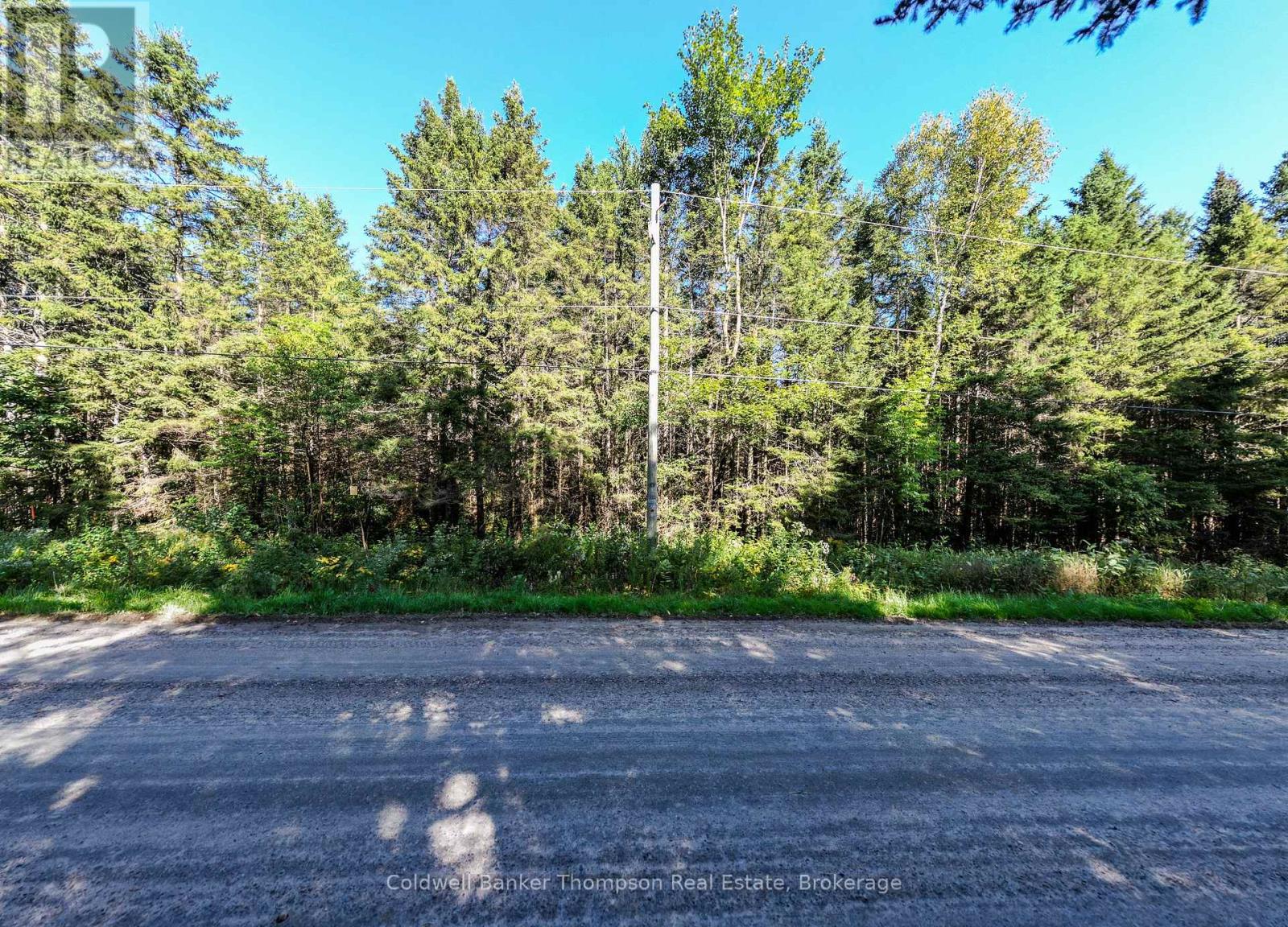 Lot 3 Stoney Road, Armour, Ontario  P0A 1C0 - Photo 7 - X12849554