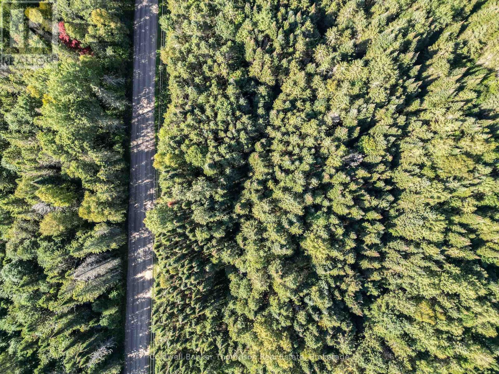 Lot 3 Stoney Road, Armour, Ontario  P0A 1C0 - Photo 3 - X12849554