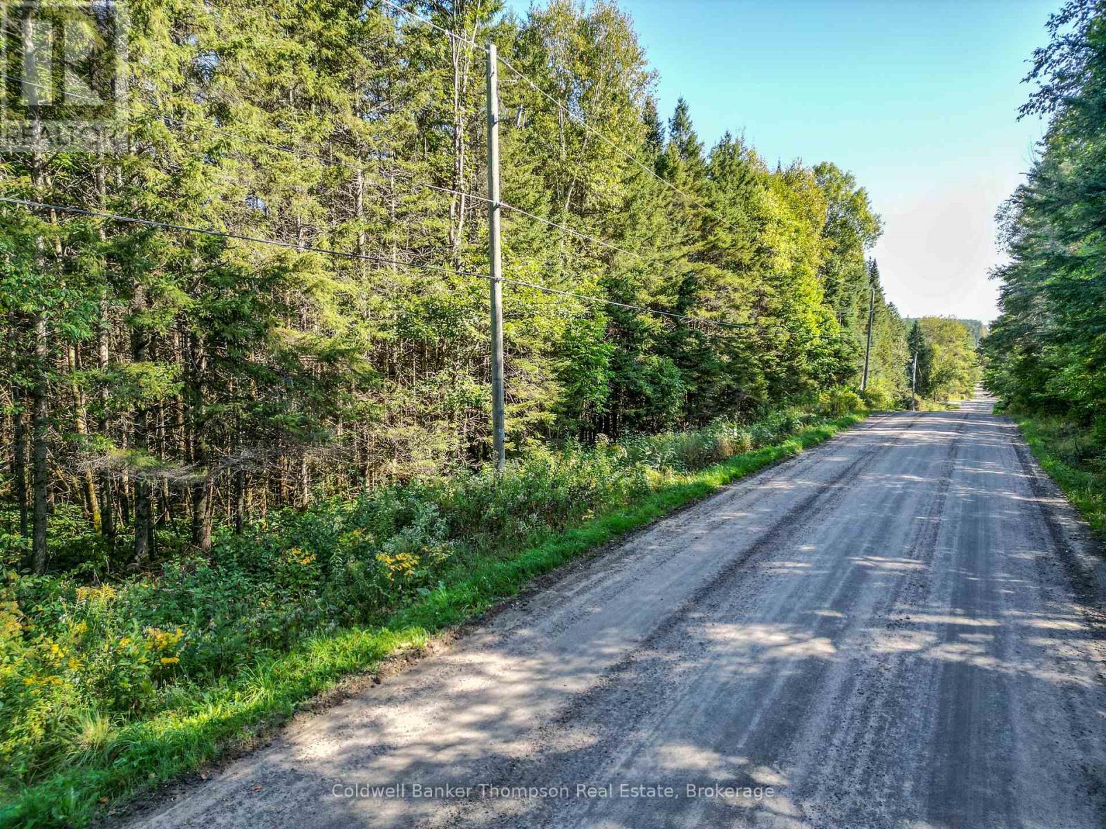Lot 3 Stoney Road, Armour, Ontario  P0A 1C0 - Photo 5 - X12849554