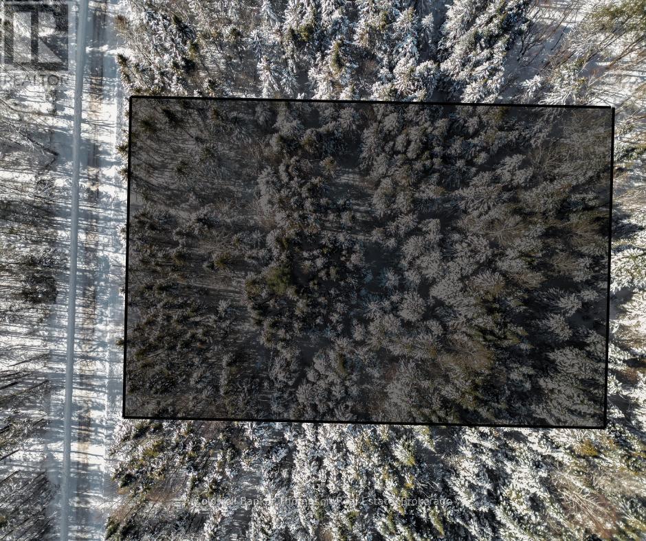 Lot 3 Stoney Road, Armour, Ontario  P0A 1C0 - Photo 12 - X12849554