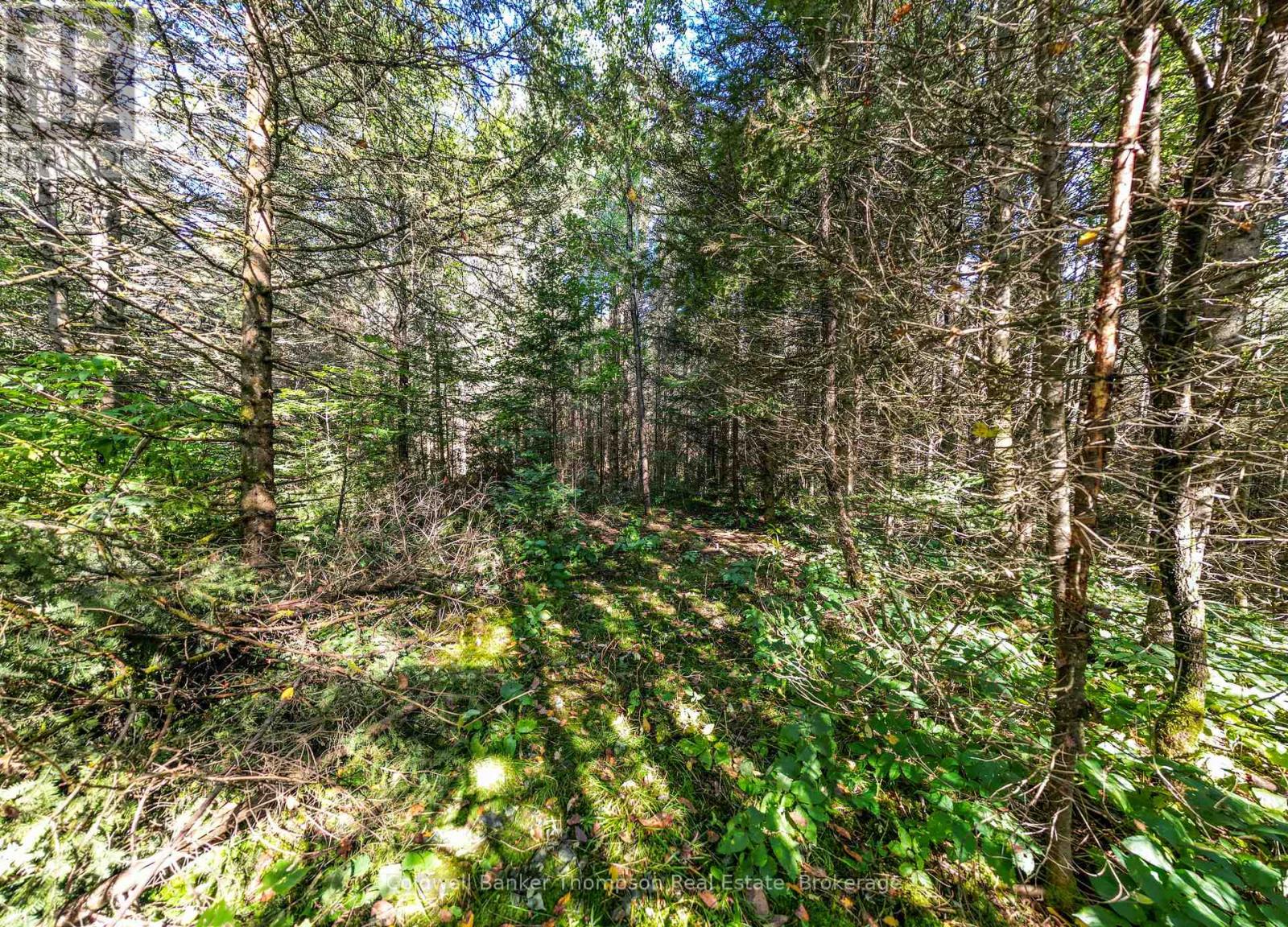 Lot 3 Stoney Road, Armour, Ontario  P0A 1C0 - Photo 8 - X12849554