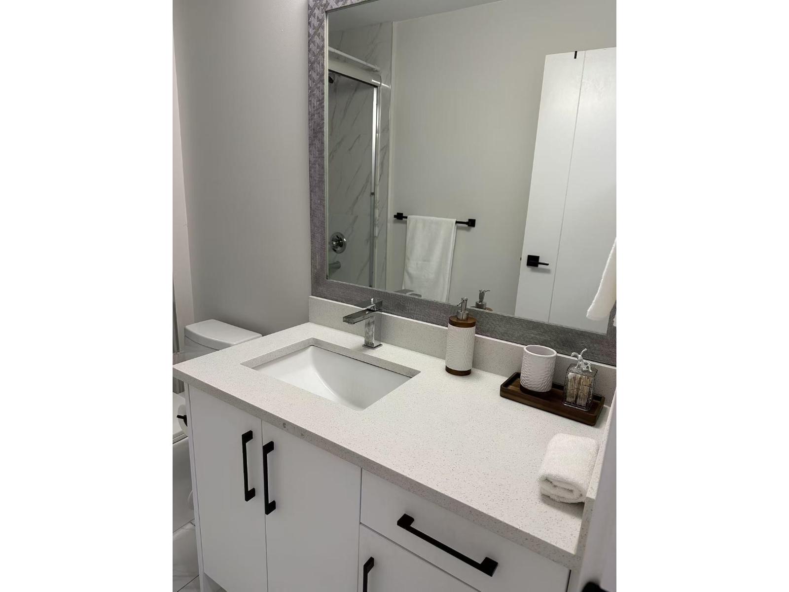 1/2 Basement 2575 166 Street, Surrey, British Columbia  V3Z 9W9 - Photo 9 - R3117276