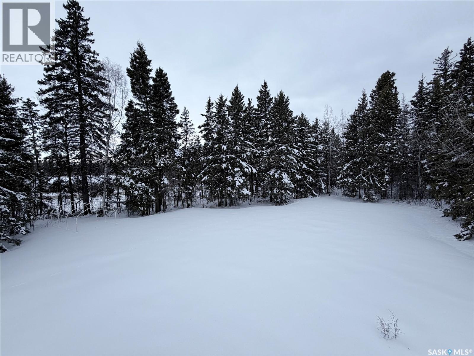 Emma Lake Acreage, Paddockwood Rm No. 520, Saskatchewan  S0J 0N0 - Photo 25 - SK034204
