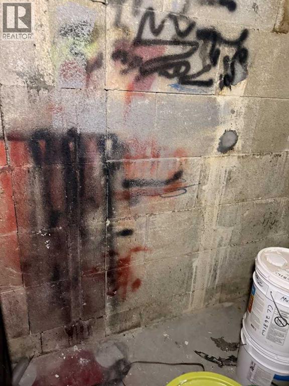 5003 50 Street, Provost, Alberta  T0B 3S0 - Photo 22 - A2268463