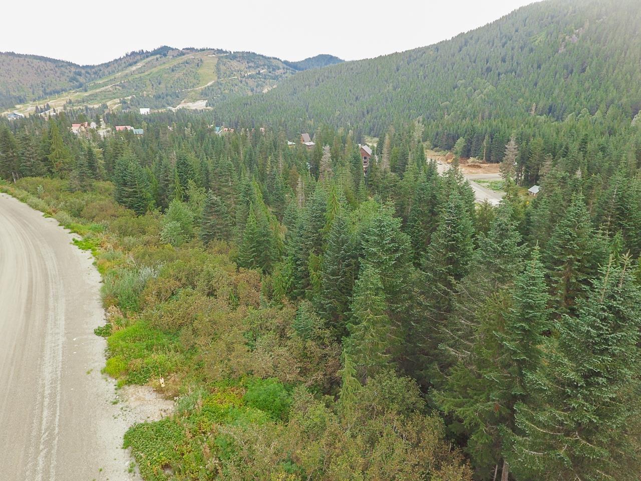 20478 Edelweiss Drive, Mission, British Columbia  V0M 1A1 - Photo 17 - R3116564