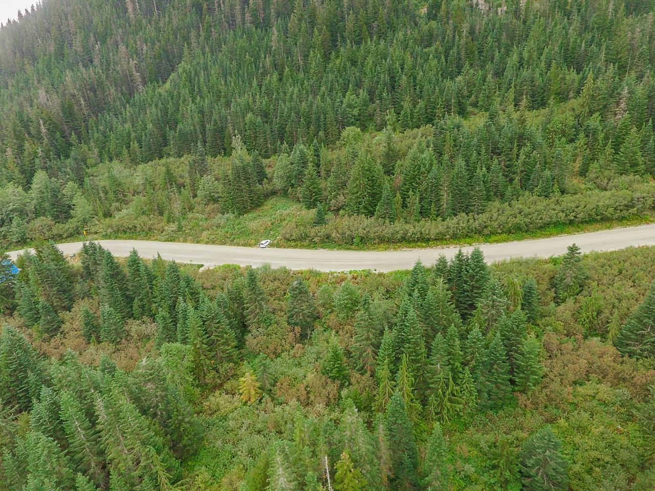 20478 Edelweiss Drive, Mission, British Columbia  V0M 1A1 - Photo 11 - R3116564