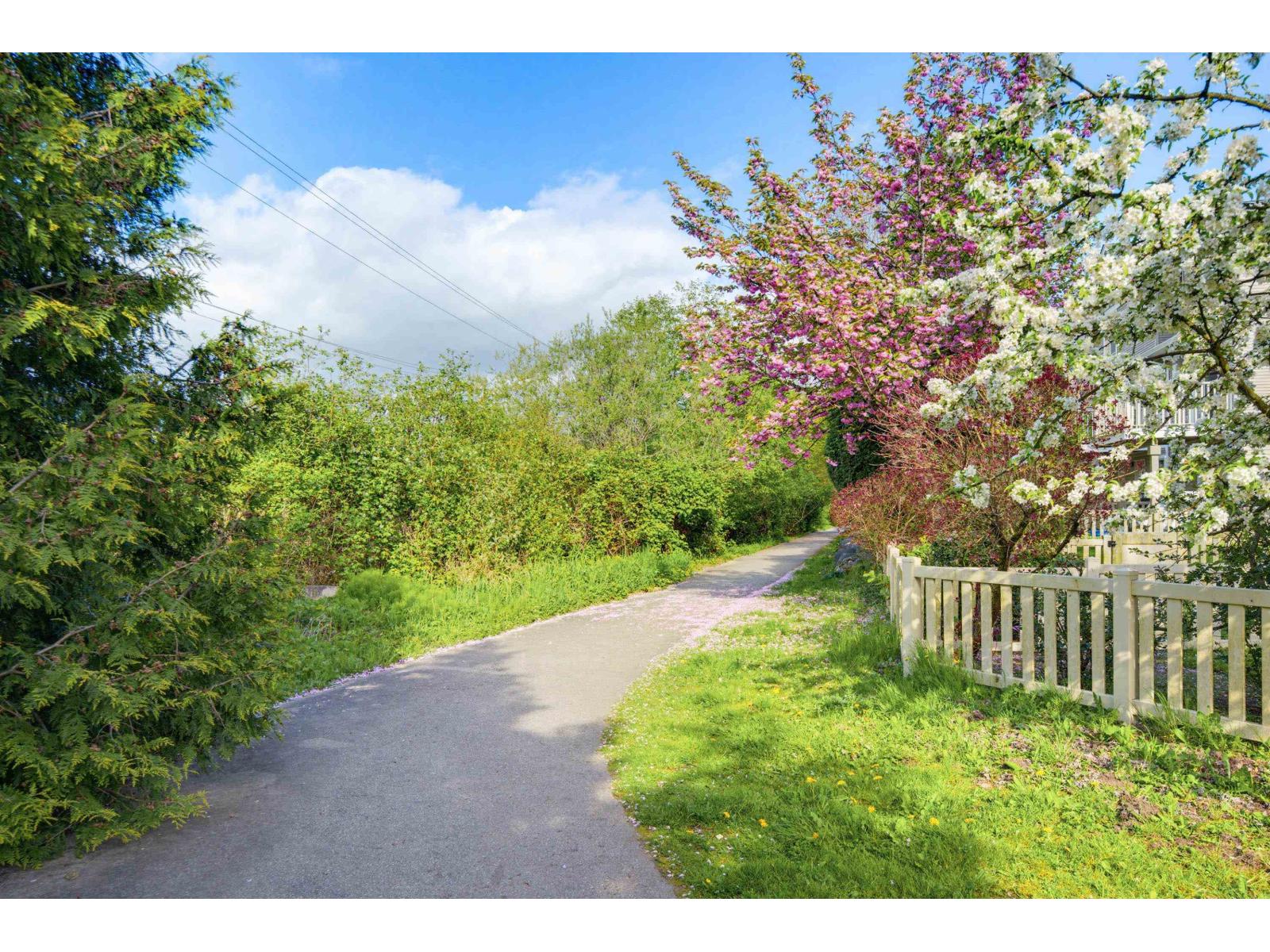 73 15155 62a Avenue, Surrey, British Columbia  V3S 8A6 - Photo 31 - R3116850