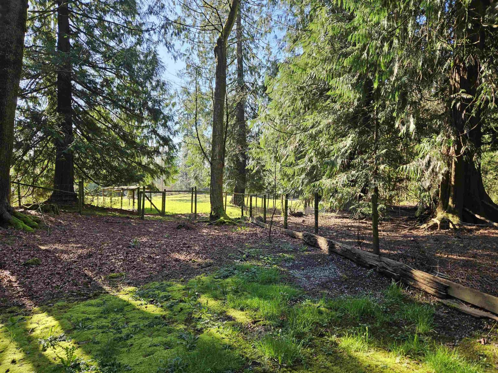 25080 4 Avenue, Langley, British Columbia  V4W 2H3 - Photo 12 - R3115792