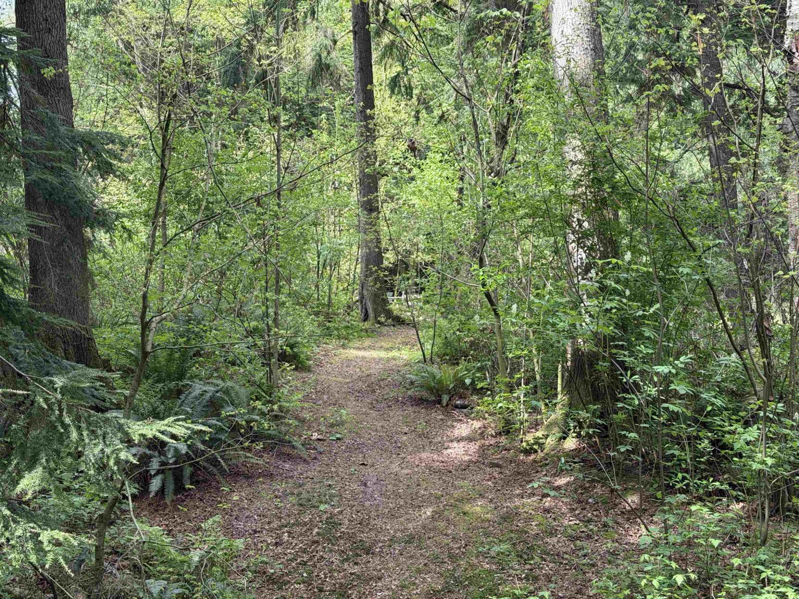 25080 4 Avenue, Langley, British Columbia  V4W 2H3 - Photo 16 - R3115792