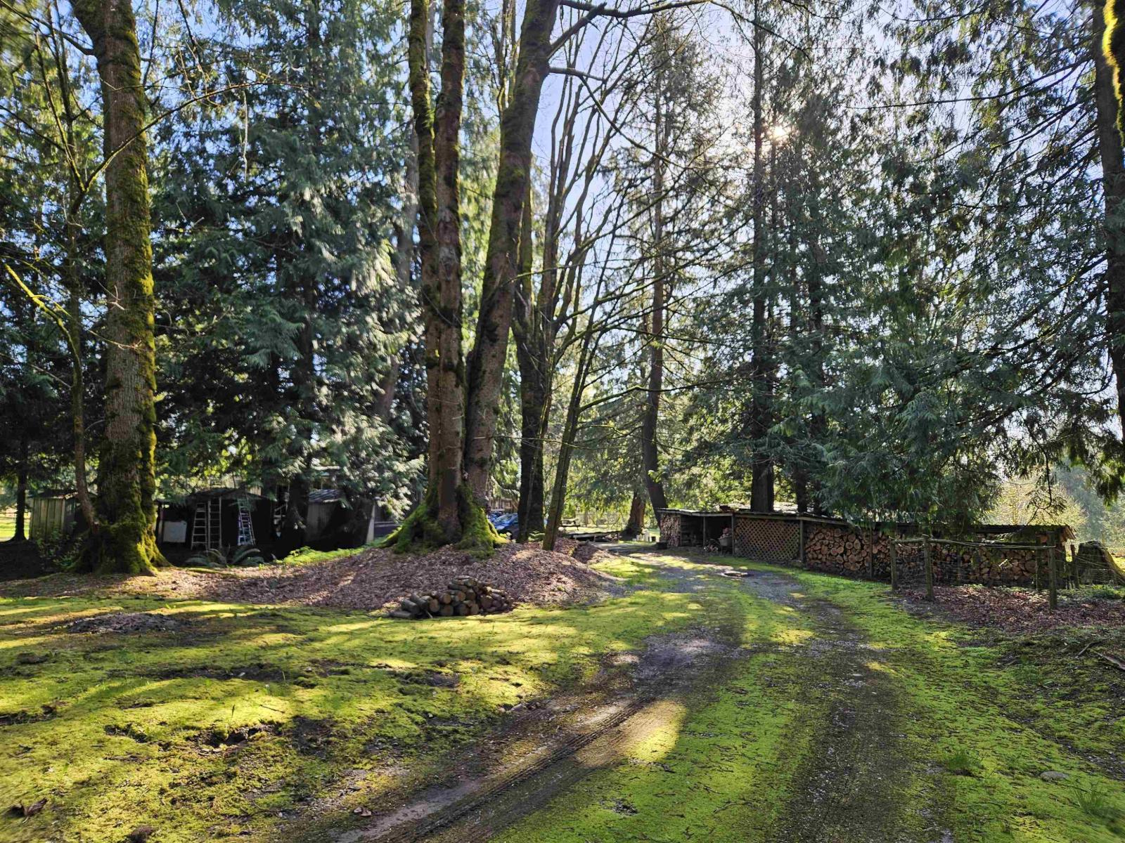 25080 4 Avenue, Langley, British Columbia  V4W 2H3 - Photo 11 - R3115792