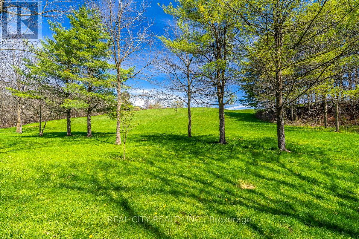 47 River Road, Brantford, Ontario  N3R 0C1 - Photo 34 - X13058384