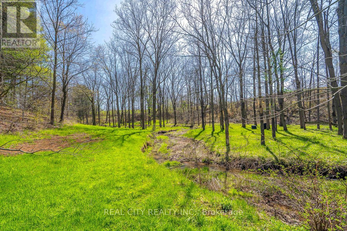 47 River Road, Brantford, Ontario  N3R 0C1 - Photo 36 - X13058384