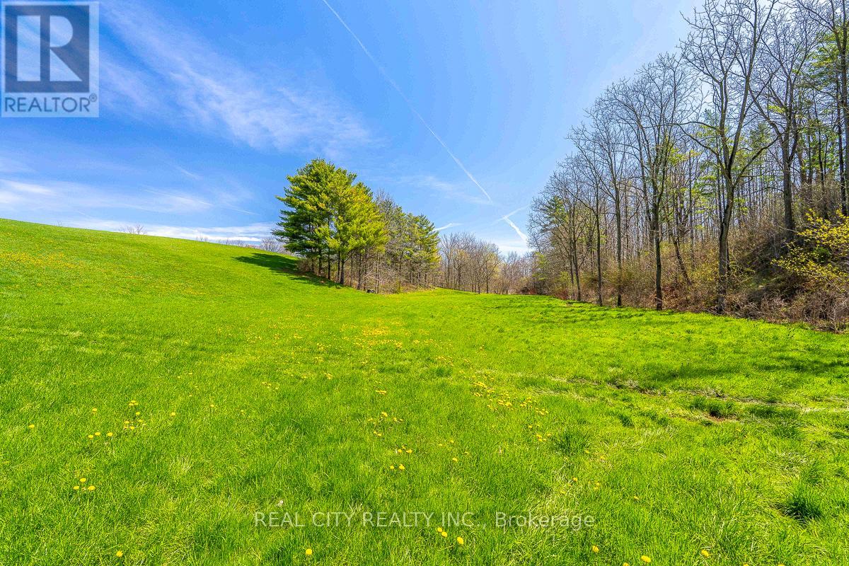 47 River Road, Brantford, Ontario  N3R 0C1 - Photo 38 - X13058384
