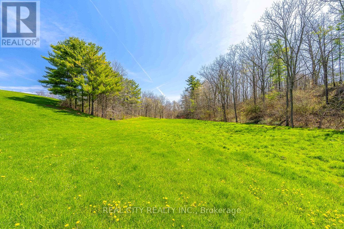 47 River Road, Brantford, Ontario  N3R 0C1 - Photo 40 - X13058384