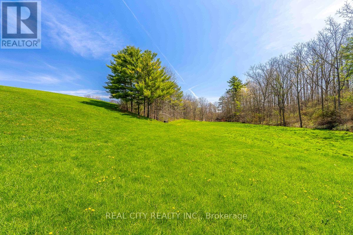 47 River Road, Brantford, Ontario  N3R 0C1 - Photo 41 - X13058384