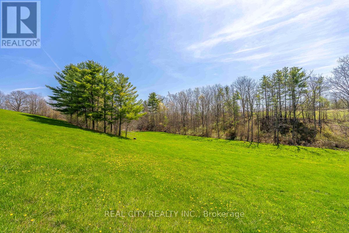 47 River Road, Brantford, Ontario  N3R 0C1 - Photo 42 - X13058384