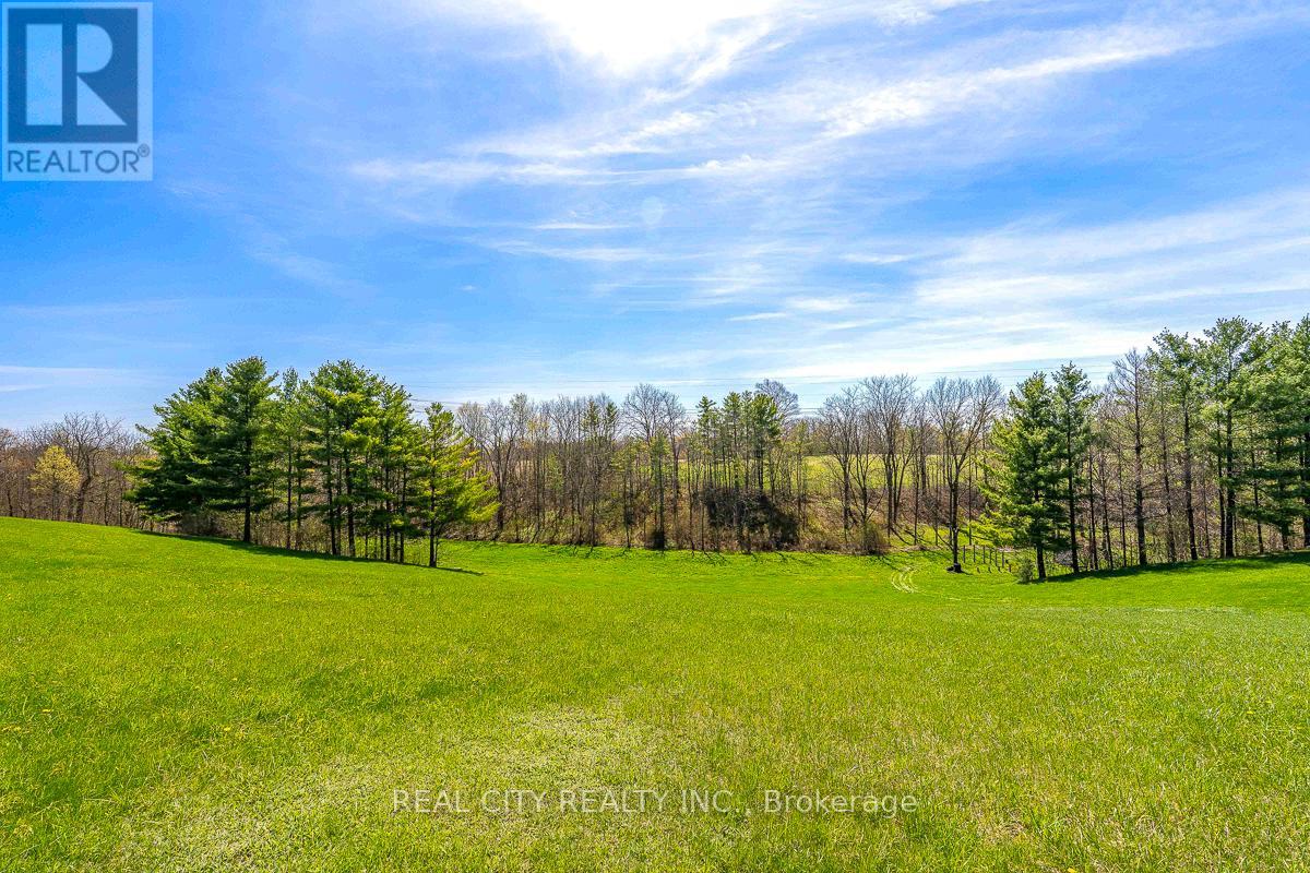 47 River Road, Brantford, Ontario  N3R 0C1 - Photo 48 - X13058384