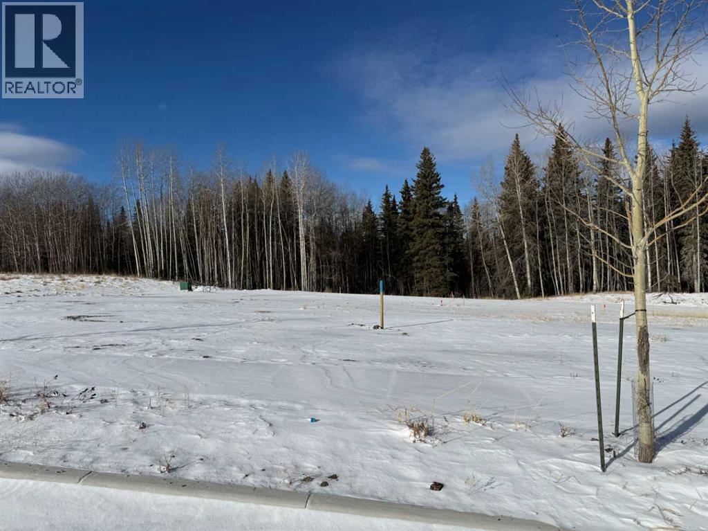 468 Lily Avenue, Nordegg, Alberta  T0M 2H0 - Photo 1 - A2289798