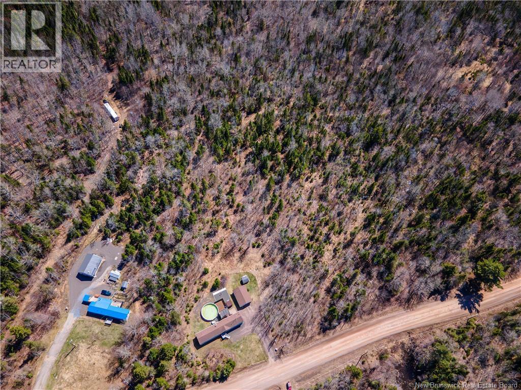 206 Creek Road, Mount Middleton, New Brunswick  E4G 3C2 - Photo 43 - NB138216
