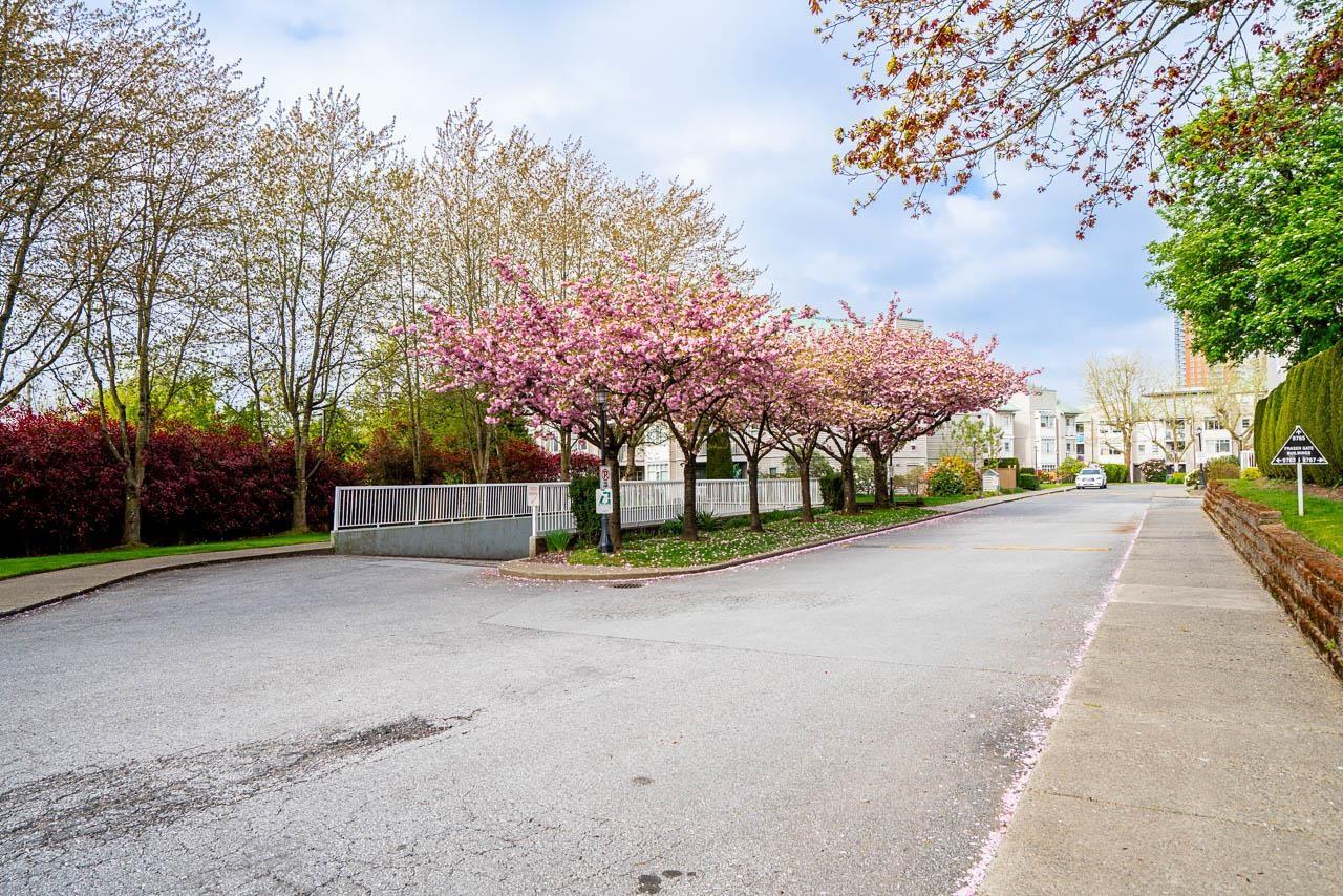 306 9763 140 Street, Surrey, British Columbia  V3T 4M4 - Photo 27 - R3117185