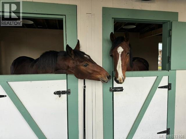 7356 Wallace Dr, Central Saanich, British Columbia  V8M 1S9 - Photo 3 - 1033168