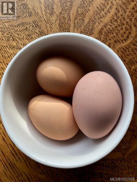 7356 Wallace Dr, Central Saanich, British Columbia  V8M 1S9 - Photo 75 - 1033168