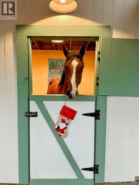 7356 Wallace Dr, Central Saanich, British Columbia  V8M 1S9 - Photo 67 - 1033168