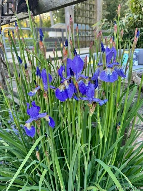 7356 Wallace Dr, Central Saanich, British Columbia  V8M 1S9 - Photo 94 - 1033168