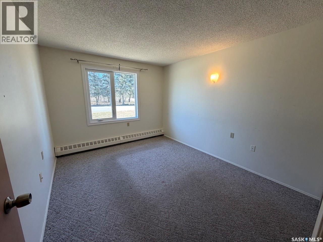 704 Assiniboia Avenue, Maryfield, Saskatchewan  S0G 3K0 - Photo 33 - SK034302