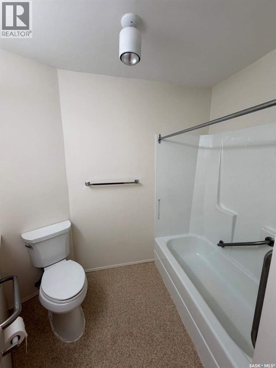 704 Assiniboia Avenue, Maryfield, Saskatchewan  S0G 3K0 - Photo 36 - SK034302