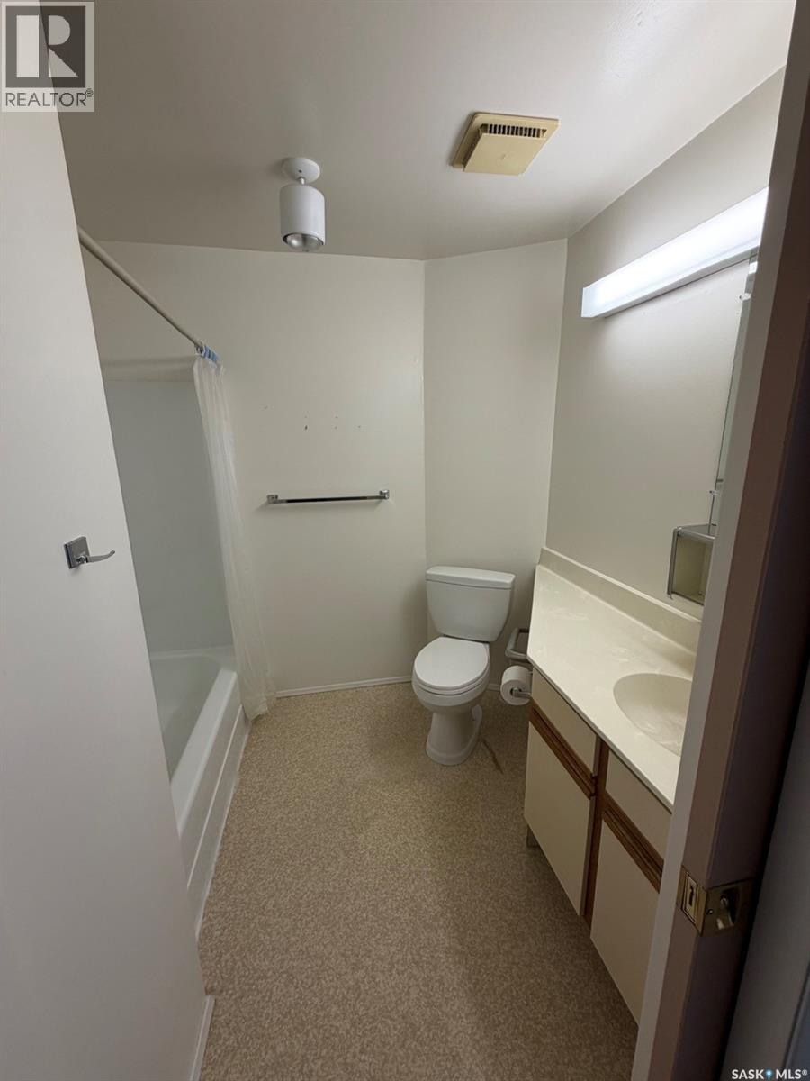 704 Assiniboia Avenue, Maryfield, Saskatchewan  S0G 3K0 - Photo 47 - SK034302