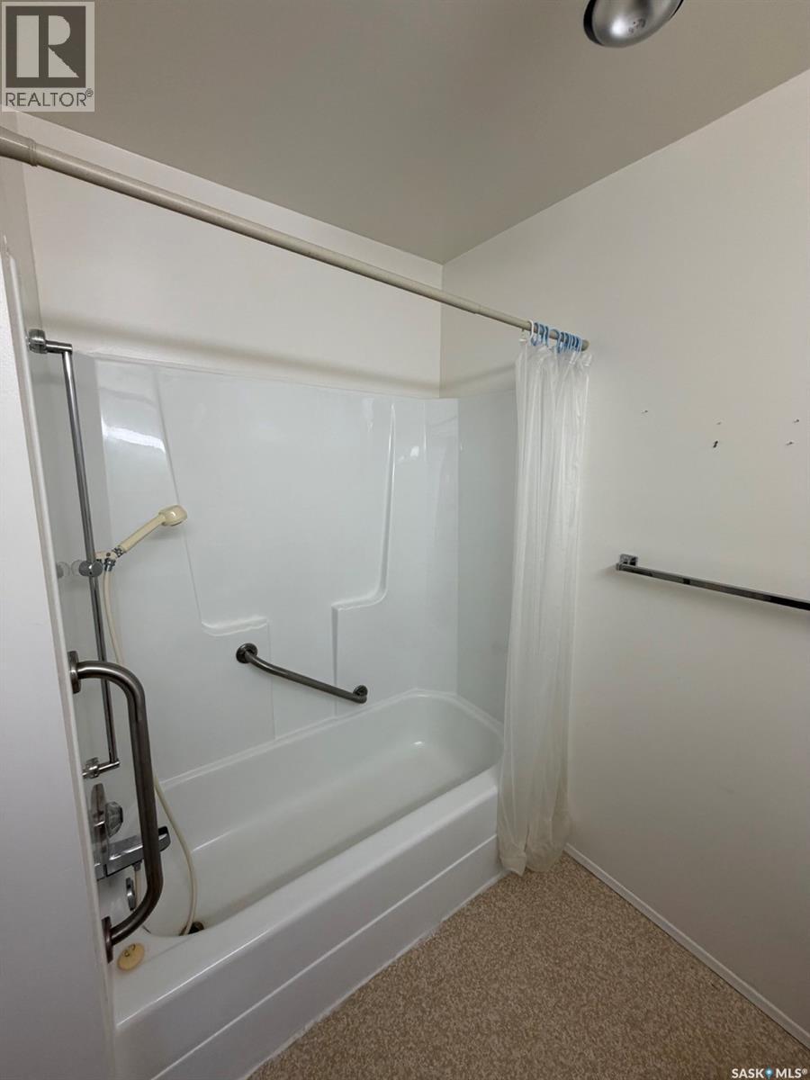 704 Assiniboia Avenue, Maryfield, Saskatchewan  S0G 3K0 - Photo 48 - SK034302