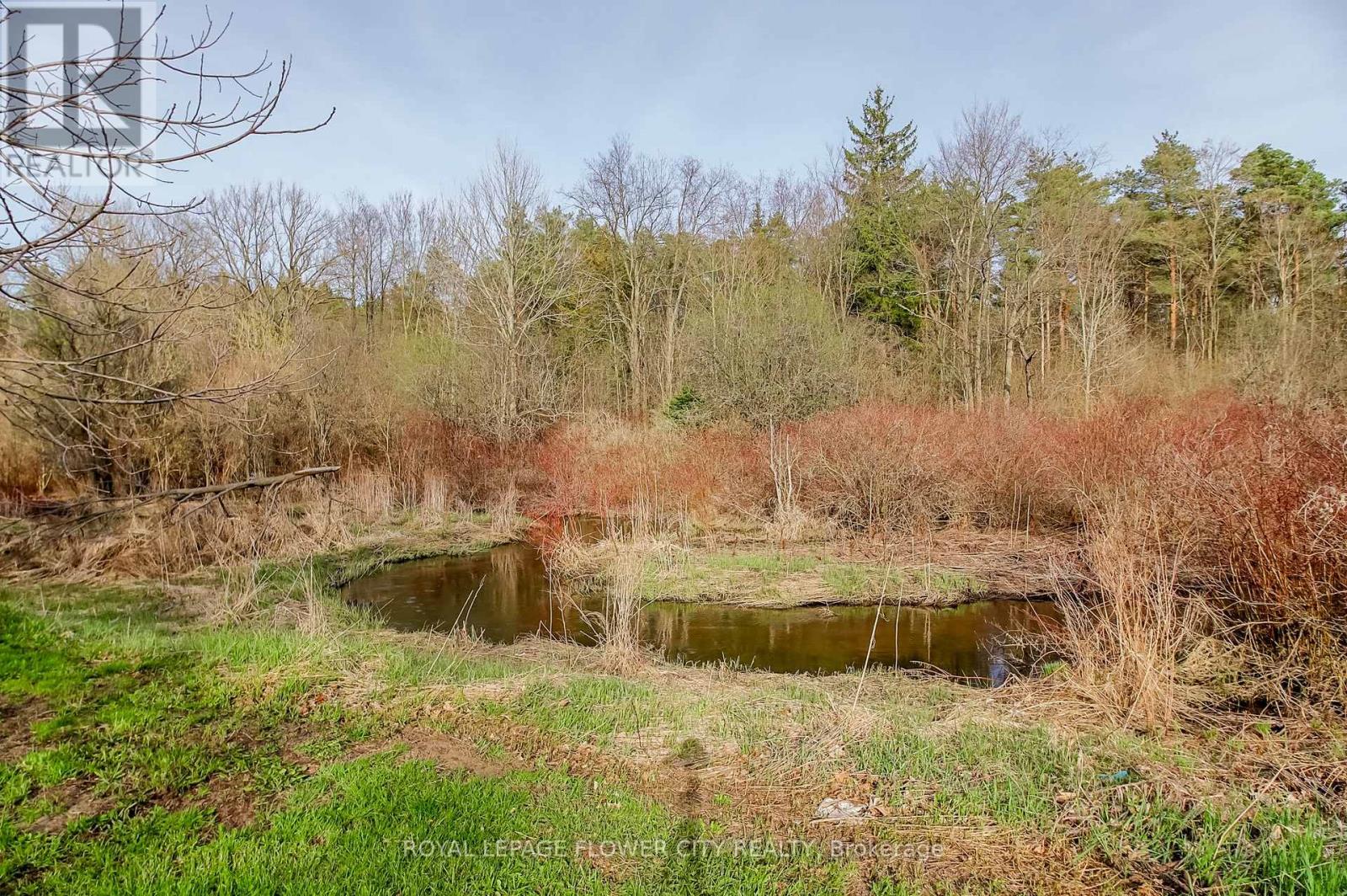 7555 Old Church Road, Caledon, Ontario  L7E 0P5 - Photo 46 - W13058188