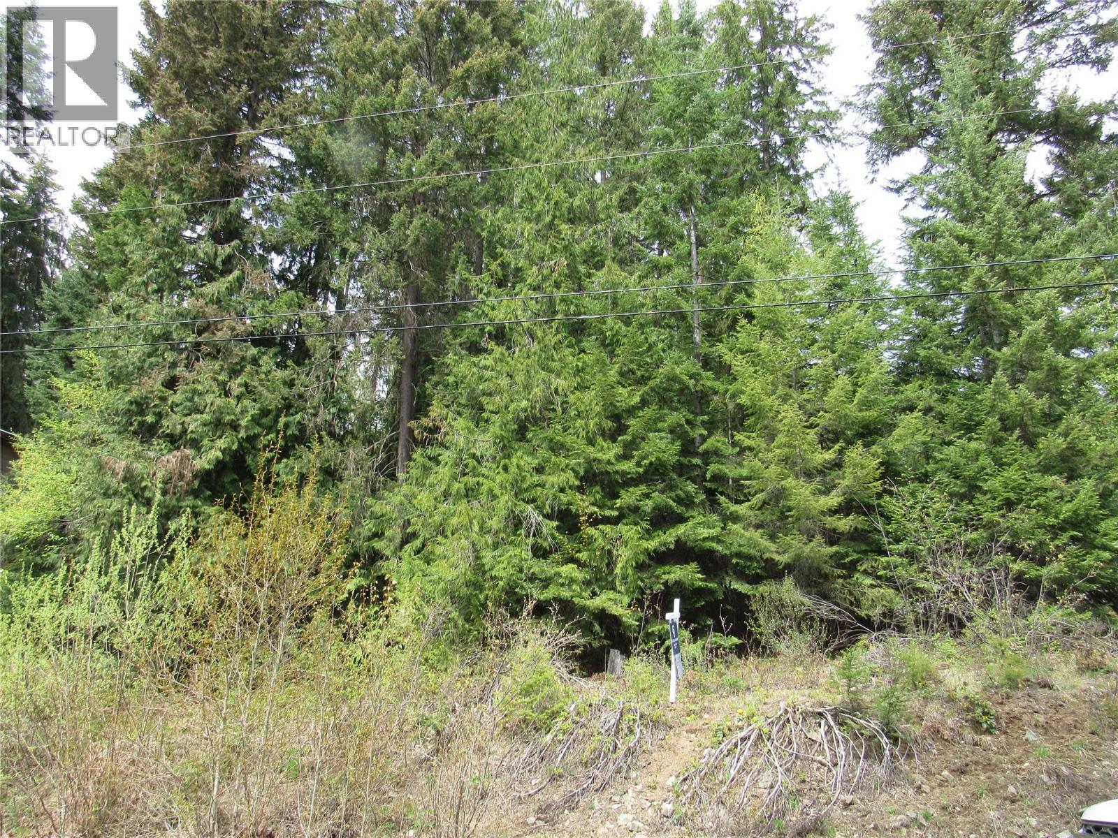 Lot 19 Nelson Rural 08182.190 Lot# 19, Bonnington Falls, British Columbia