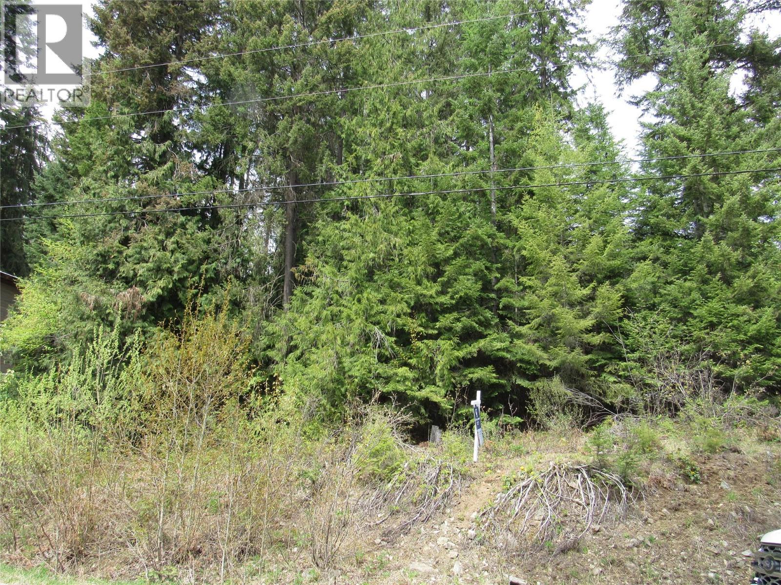 Lot 19 Nelson Rural 08182.190 Lot# 19, Bonnington Falls, British Columbia  V0G 2G3 - Photo 2 - 10384828