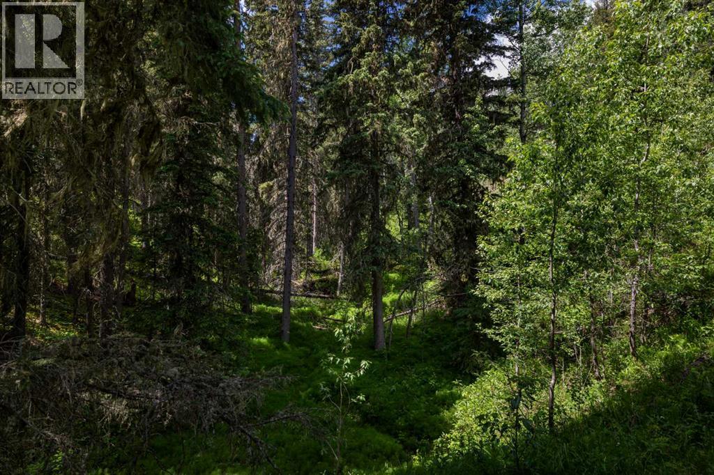 282155 Range Road 53, Rural Rocky View County, Alberta  T4C 1A7 - Photo 43 - A2235089