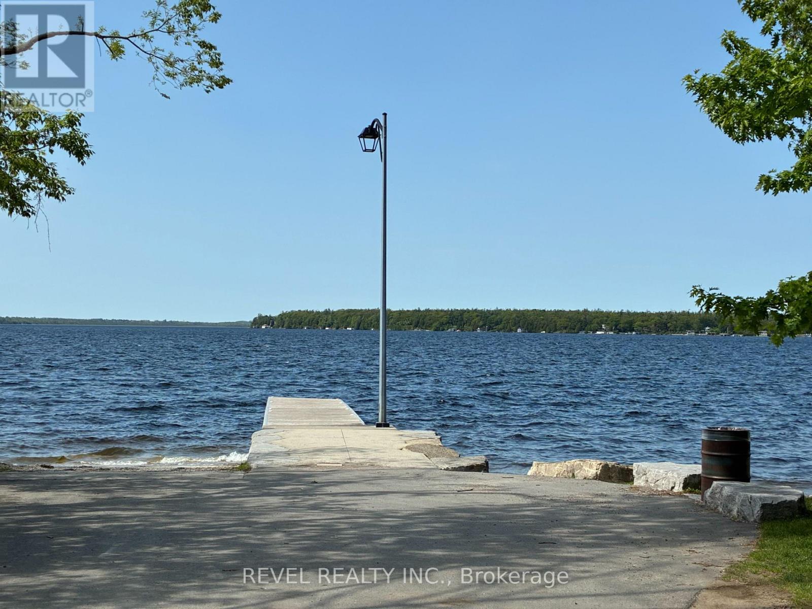 213 Pleasant Point Road, Kawartha Lakes, Ontario  K9V 4R6 - Photo 46 - X12756384