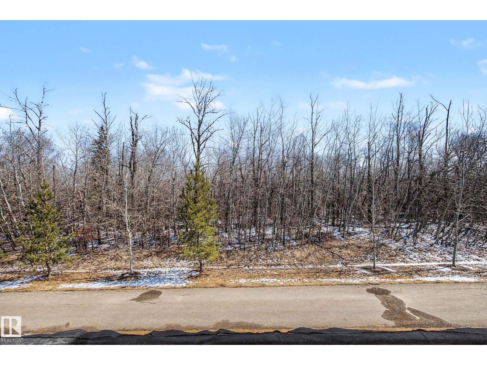 #19 1051 Graydon Hill Bv Sw, Edmonton, Alberta  T6W 3C8 - Photo 31 - E4484662