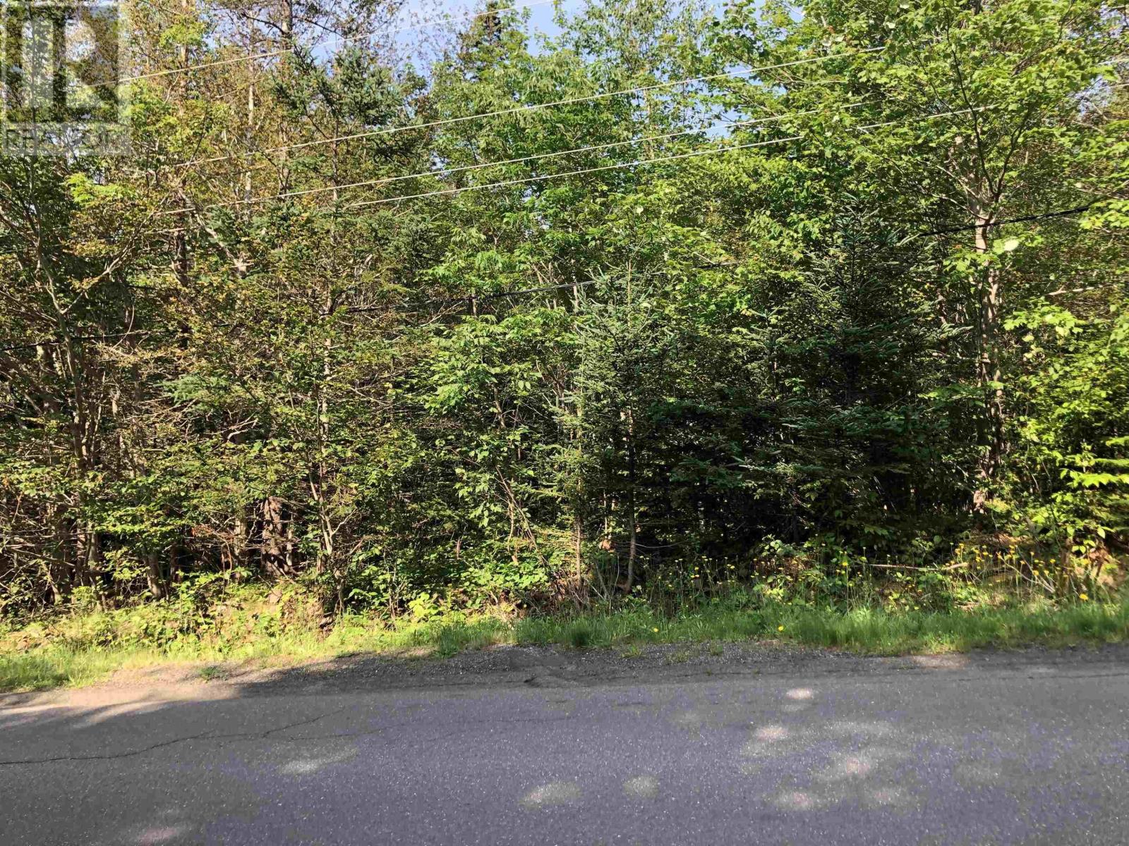 Lot Lighthouse Road, Bay View, Nova Scotia  B0V 1A0 - Photo 3 - 202608994