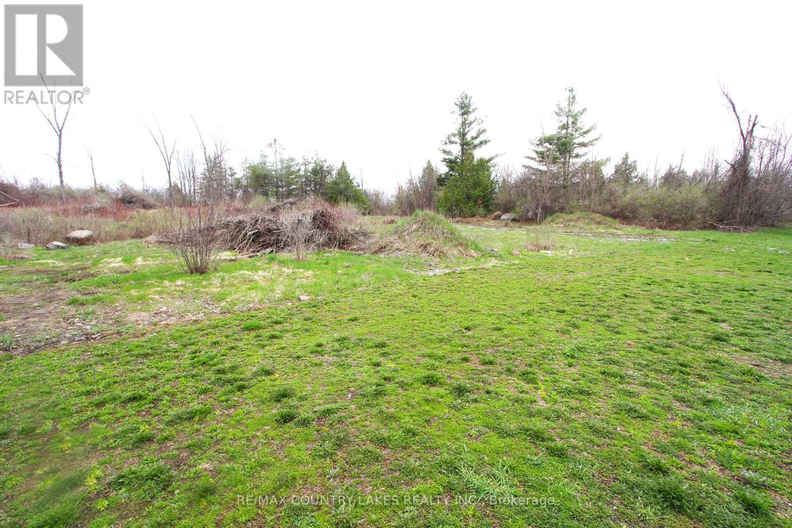 Lt 2 Redcap Beach Lane, Kawartha Lakes, Ontario  K0M 2B0 - Photo 5 - X13053044