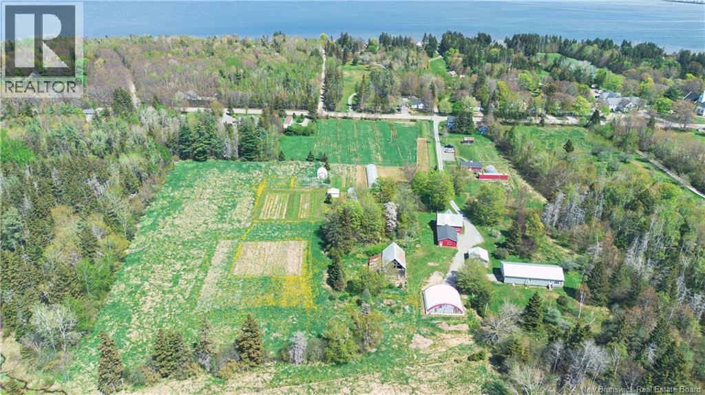 3415 Rte. 134, Shediac Cape, New Brunswick  E4P 3G4 - Photo 47 - NB130877