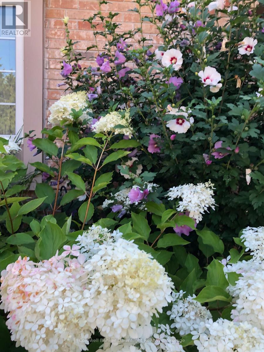 7 Brookside Place, South Huron, Ontario  N0M 1S2 - Photo 34 - X12827192