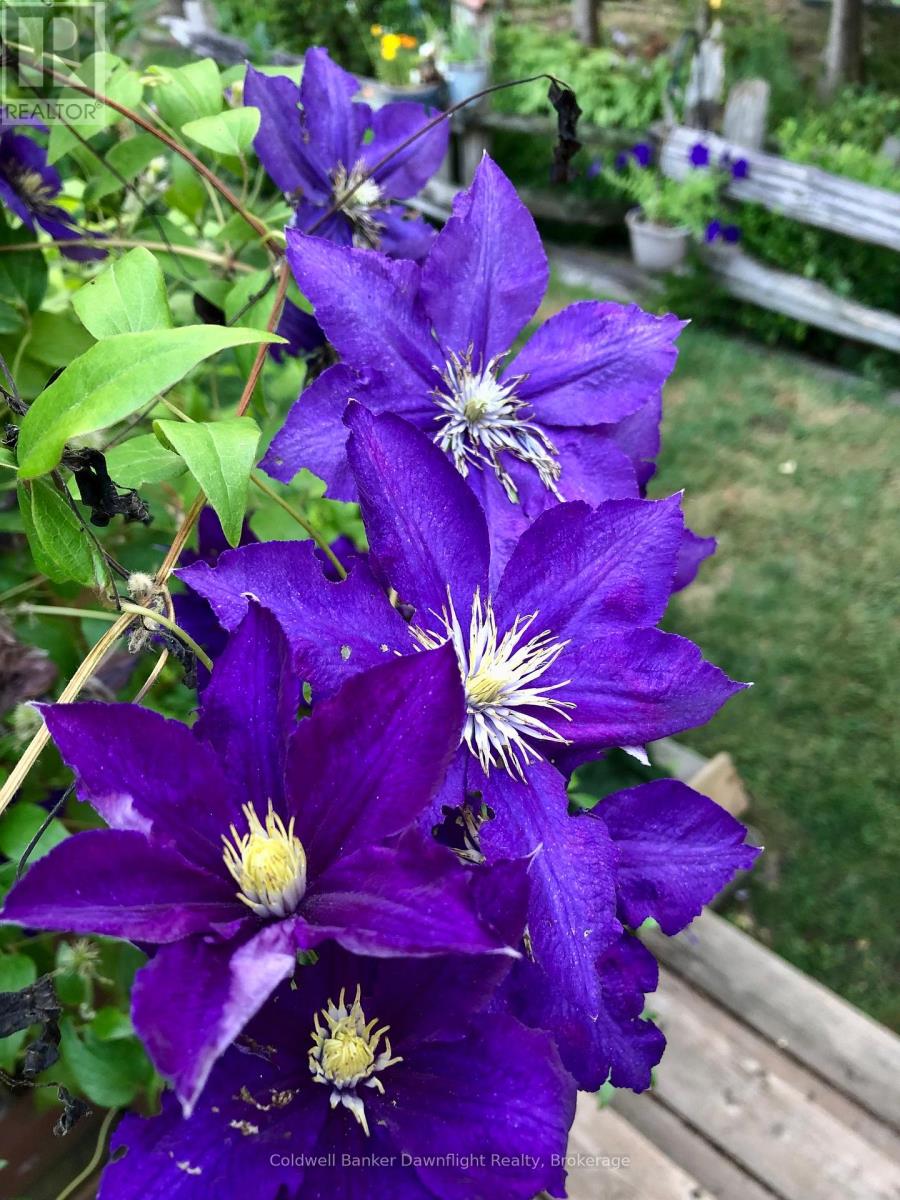 7 Brookside Place, South Huron, Ontario  N0M 1S2 - Photo 39 - X12827192