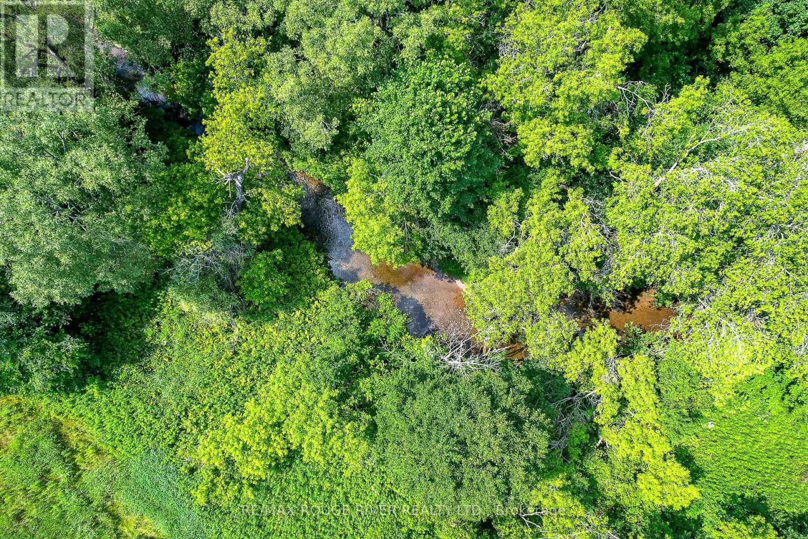 301 - 14 Meadowcreek Drive, Brighton, Ontario  K0K 1H0 - Photo 33 - X12903252