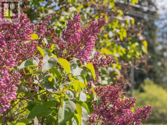 3271 Oak Street, Texada Island, British Columbia   - Photo 29 - 19835