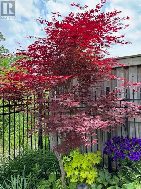 108 Mussen Street, Guelph, Ontario  N1E 0K2 - Photo 37 - X12862412