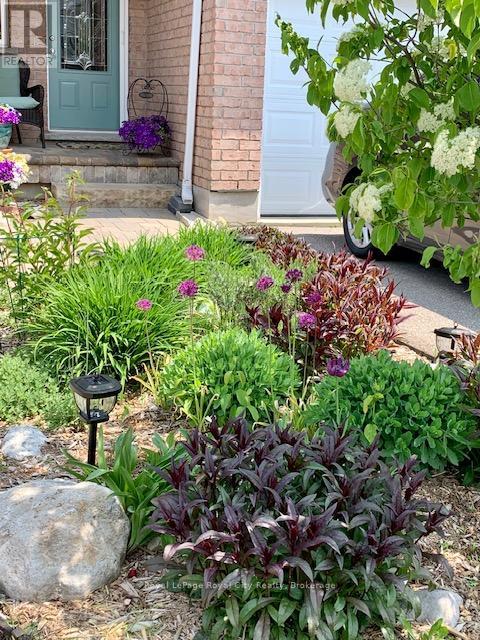 108 Mussen Street, Guelph, Ontario  N1E 0K2 - Photo 2 - X12862412