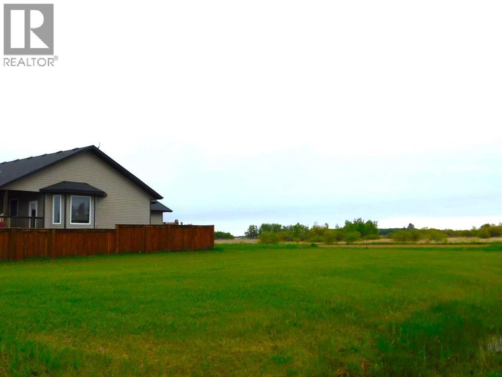 301 Niblock Street, Bawlf, Alberta  T0B 0J0 - Photo 3 - A2221999