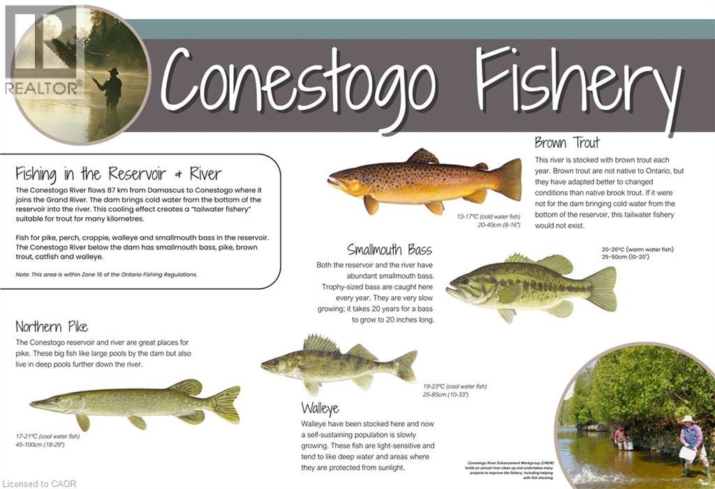 Lot 485 Road 4 S, Conestogo Lake, Ontario  N0G 1P0 - Photo 28 - 40823827