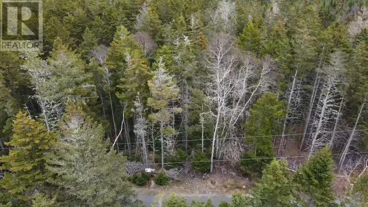 Lot Flat Hill Road, Broad Cove, Nova Scotia  B0J 2H0 - Photo 2 - 202608956